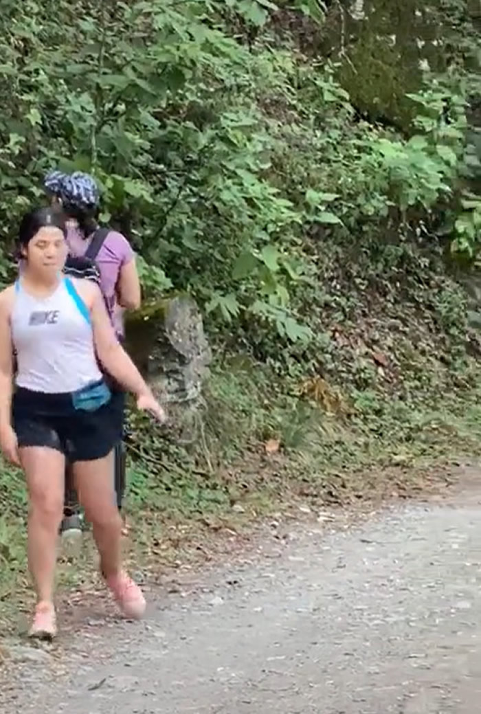 墨西哥3名女子爬山时和黑熊狭路相逢 被熊抱坚持原地不动最后脱险